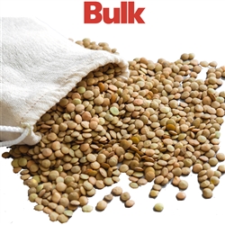 Green Lentils (Organic, Raw) - BULK 25lbs