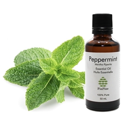PinPine - Peppermint Essential Oil - 50ml
