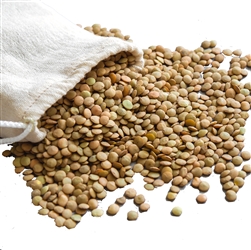 Green Lentils - 2 lbs. (Organic, Raw) - Upaya Naturals