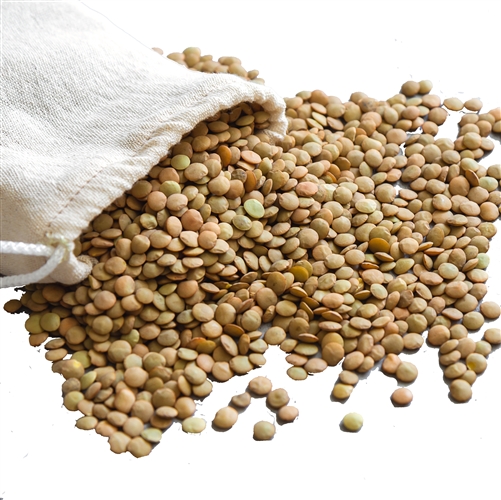 Green Lentils - 2 lbs. (Organic, Raw) - Upaya Naturals